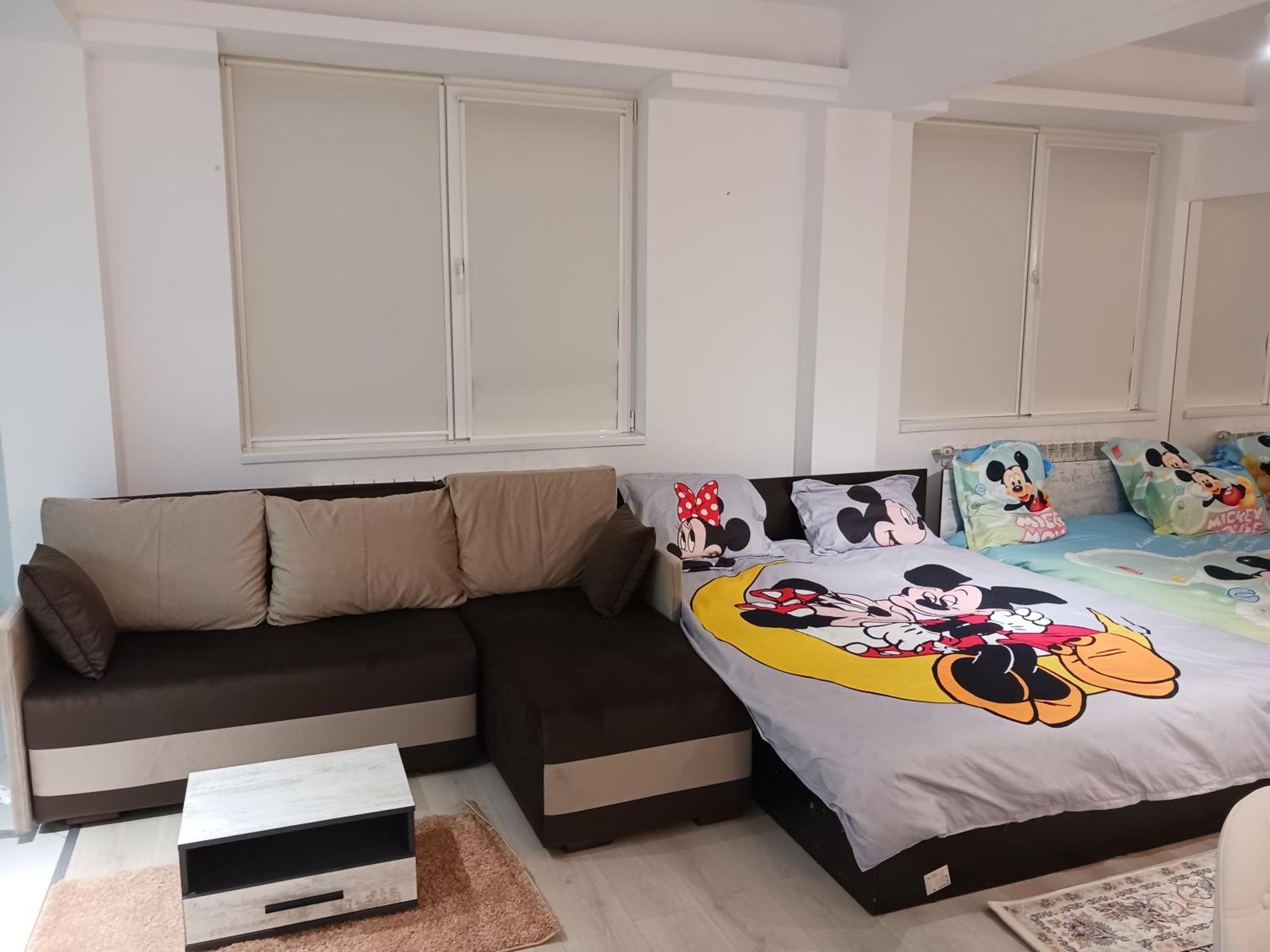 Myky Mouse Nu Primesc Santieristi Si Petrecareti Apartamento Bucareste Exterior foto