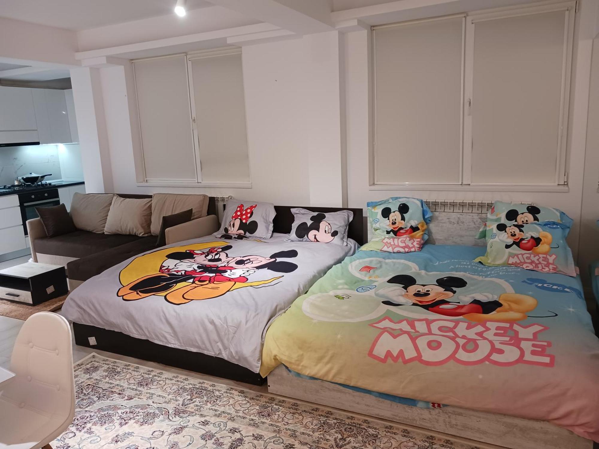 Myky Mouse Nu Primesc Santieristi Si Petrecareti Apartamento Bucareste Exterior foto