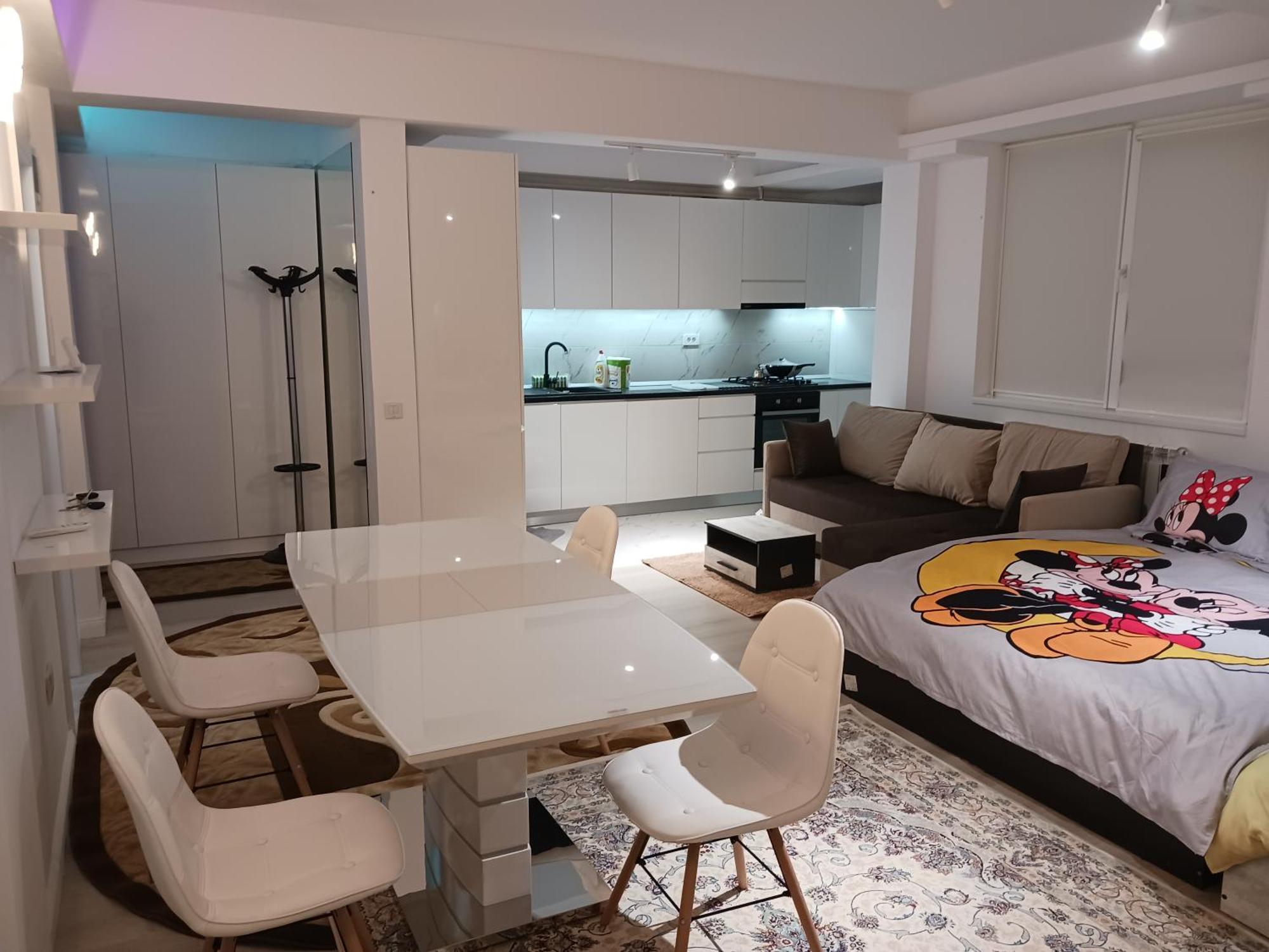 Myky Mouse Nu Primesc Santieristi Si Petrecareti Apartamento Bucareste Exterior foto